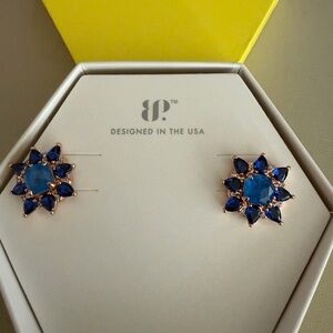 Bomb Party “Yes, They’re Compliment Magnets” Earrings